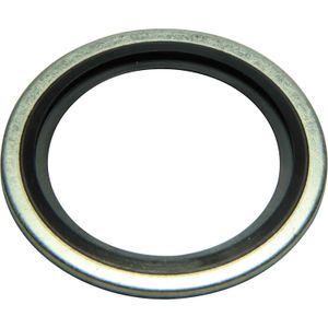 Seaflow Dowty Bonded Washer (1" BSP Male)
