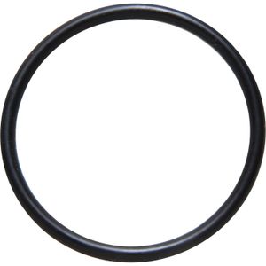 Sherwood Water Strainer O Ring (1/2" & 3/4")