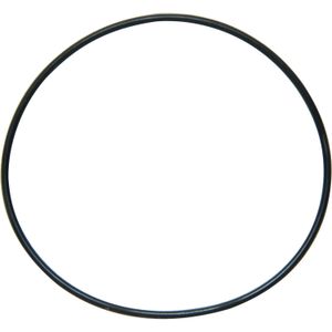 Sherwood 12231 O-Ring for Sherwood Pump End Cover