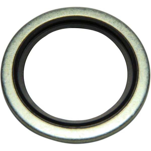 Seaflow Dowty Bonded Washer (3/4" BSP Male)