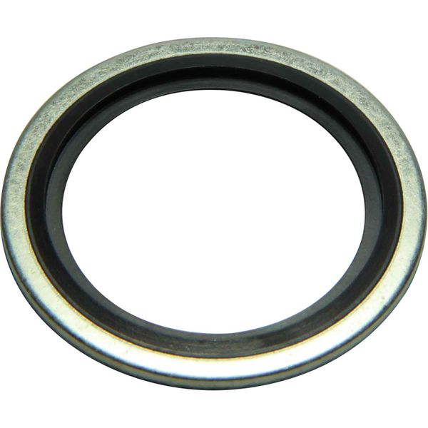 Seaflow Dowty Bonded Washer (1-1/2" BSP Male)