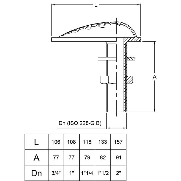 Maestrini DZR Water Intake Scoop (Drilled / 3/4" BSP)