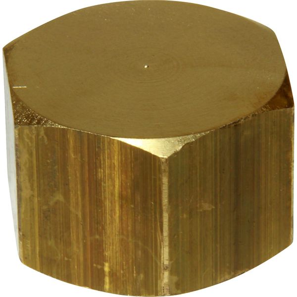 Maestrini Brass Blanking Cap (1" BSP Female)