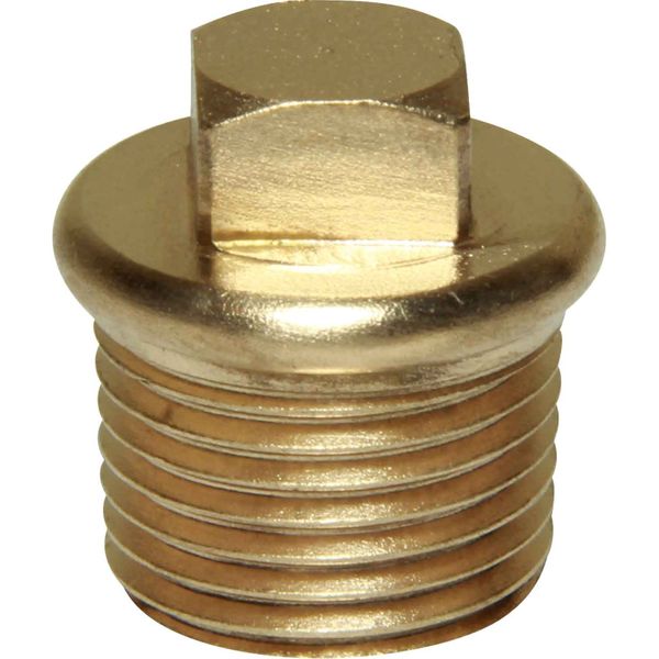 Brass Male Blanking Plug 1 1/2" BSP 