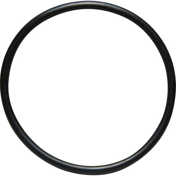 Hotpot O-ring Seal for Hotpot Immersion Heater (2-1/4" BSP)
