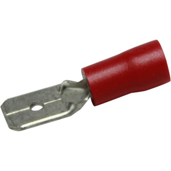 AMC Red Male Spade Terminal (6.3mm x 0.8mm / 50 Pack)