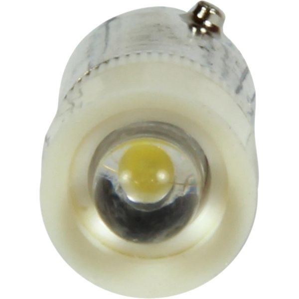 White LED BA9s Light Bulb (12 Volt / MCC)