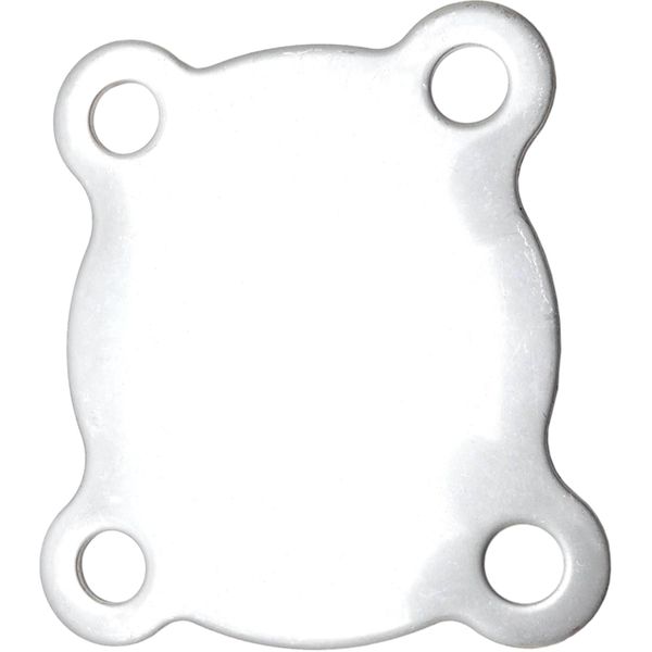 Sherwood 23366 Pump End Cover Plate for Sherwood G8001 Cooling Pumps