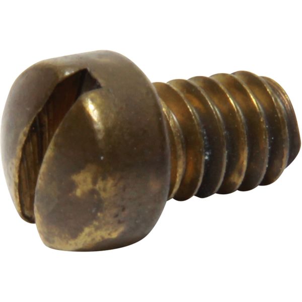 Sherwood Cam Plate Screw 19673 for Sherwood P171, P1712 and P172 Pumps