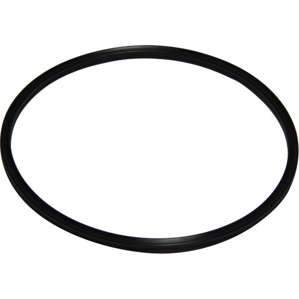 Sherwood 21561 Quad Ring for Sherwood Pump End Cover