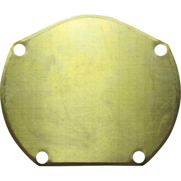 Sherwood 24125 Pump End Cover Plate for Sherwood Engine Cooling Pumps