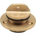 Seaflow Bronze Drain Plug Assembly (1" BSP Male Thread)