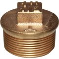 Maestrini Bronze Tapered Plug (1-1/2" BSP Male)