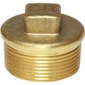 Maestrini DZR Tapered Plug (1-1/2" BSP Male)