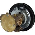 Jabsco 50580-2301 Bronze Clutch Pump (24V / 1" BSP / Single B)