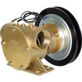 Jabsco 50200-2211 Bronze Clutch Pump (12V / 1-1/2" BSP / Single B)