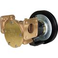 Jabsco 50220-0111 Bronze Clutch Pump (24V / 1-1/2" Flange / Twin A)