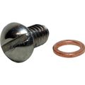Sherwood Pump Cam Plate Screw and Washer 10515