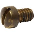 Sherwood Cam Plate Screw 19673 for Sherwood P171, P1712 and P172 Pumps