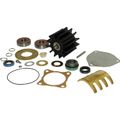Sherwood Major Repair Kit for Sherwood P1700 series Pumps